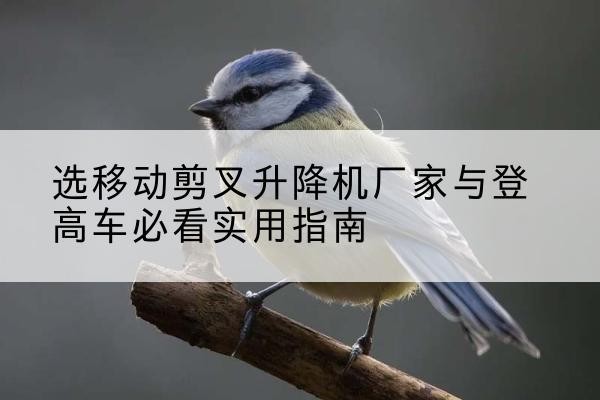 伊金霍洛旗电动升降机厂家-选移动剪叉升降机厂家与登高车必看实用指南