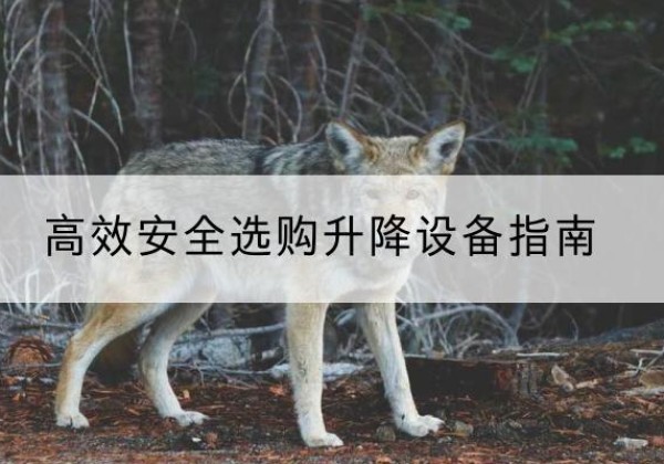 伊金霍洛旗升降货梯厂家推荐-*安全选购升降设备指南