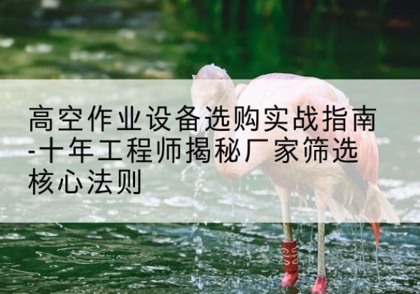 伊金霍洛旗剪叉式升降机厂家-高空作业设备选购实战指南-十年工程师揭秘厂家筛选核心法则